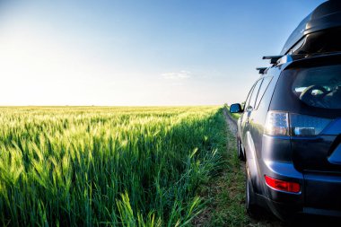 Araba ve ışık yolda..