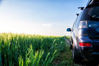 Araba ve ışık yolda..