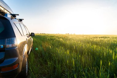Araba ve ışık yolda..