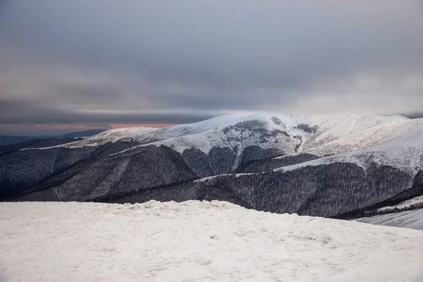 Sneeuw Carpatian mountians in de avond — Stockfoto