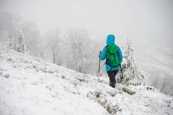Молодая женщина путешествует по снежным горам — стоковое фото