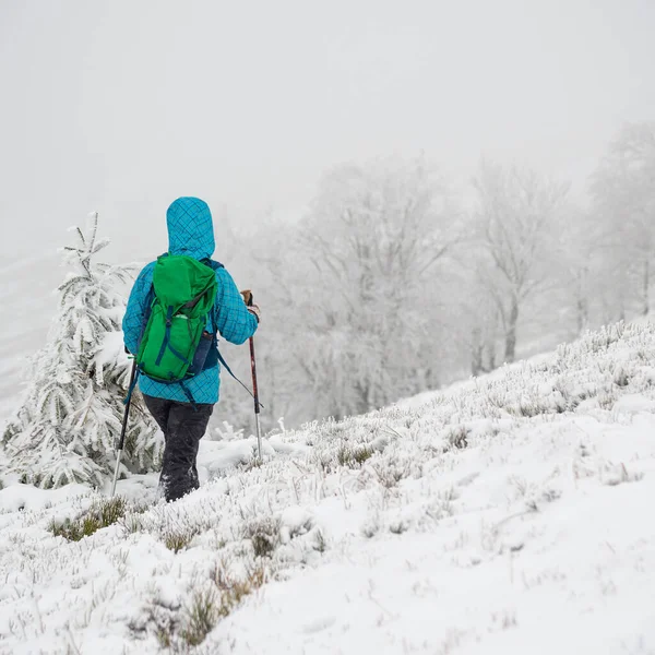 Jonge vrouw wandelen in de sneeuw bergen — Stockfoto