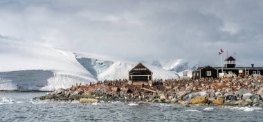 Antarktika 'daki penguenler. Port Lockroy.
