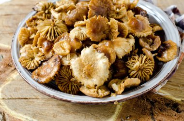 Taze mantar agarics tabakta bal