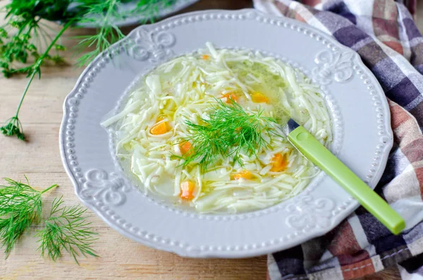 Chicken soup with homemade noodles — Stock Photo, Image