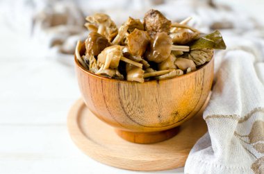 Marine mantar (bal agarics) 