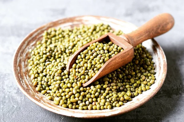 Raw Mung Bean Platta Grå Bakgrund — Stockfoto