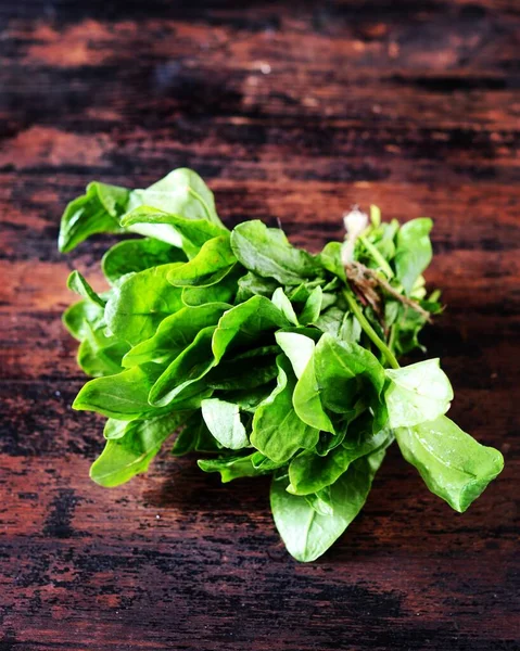 Bunch Fresh Spinach Sorrel Dark Wooden Background — Stock Photo, Image