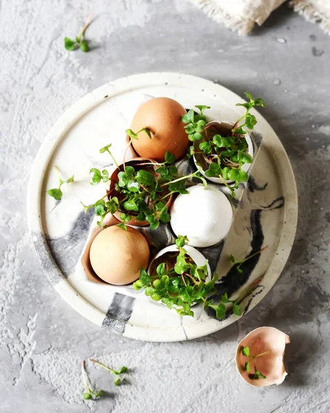 Eggshell Greens Gray Background Spring Easter Healthy Eating Micro Greens — Stock Photo, Image