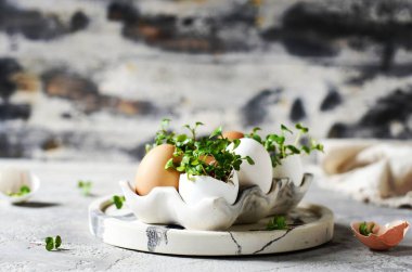 Gri arka planda yumurta kabuğu yeşillikleri. Bahar, Paskalya. Sağlıklı beslenme, mikro yeşiller.