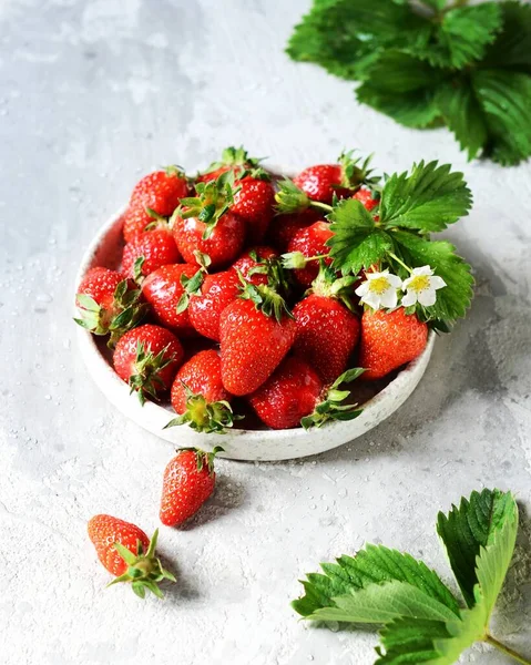 Fresh Strawberries Bowl Gray Background Still Life — Stock Photo, Image