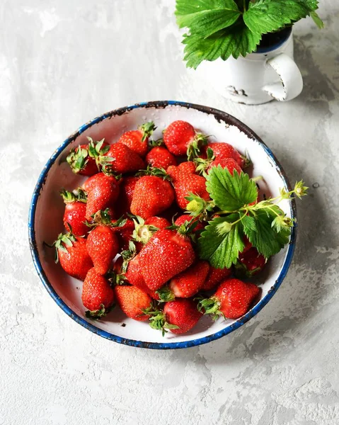 Fresh Strawberries Bowl Gray Background Still Life — Stock Photo, Image
