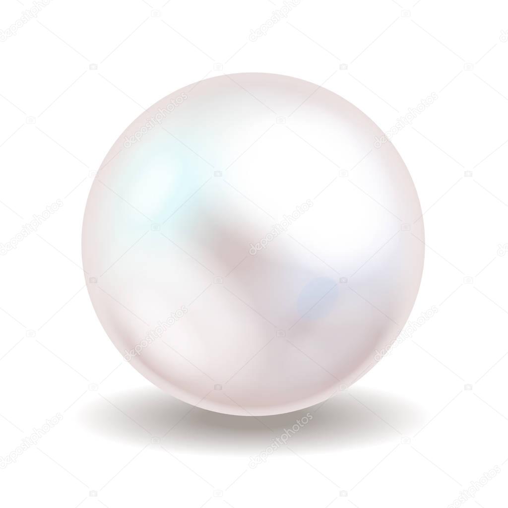 White pearl. Sea pearl isolated on white background. Shiny oyster pearl ball for luxury accessories. Vector illustration.