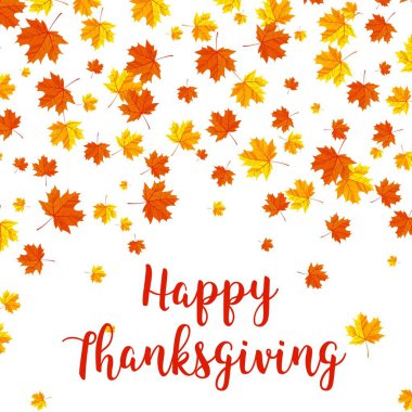 Mutlu Şükran günü kutlamaları tebrik kartı tasarımı akçaağaç asma yaprak arka plan beyaz.