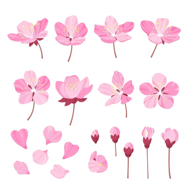 Reihe von schönen Kirschbaumblüten isoliert auf weißem Hintergrund. Sammlung von rosa Sakura oder Apfelblüte, japanischer Kirschbaum. Blumen Frühling Design elements.cartoon Stil Vektor Illustration — Stockvektor