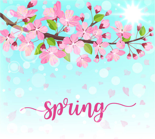 Spring lettering. Blossoming tree brunch with spring flowers. Vector illustration.
