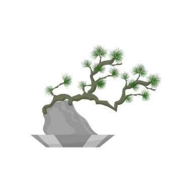 Bonsai. Ev iç dekorasyon için bitki gerçekçi simgesi. İğne yapraklı bitki saksı içinde. vektör çizim