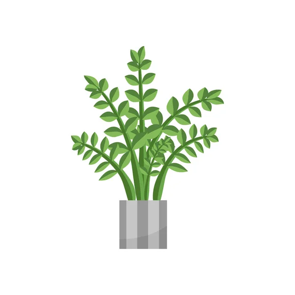 Fern.House planta icono realista para la decoración de interiores. Planta de coníferas en maceta. ilustración vectorial — Vector de stock