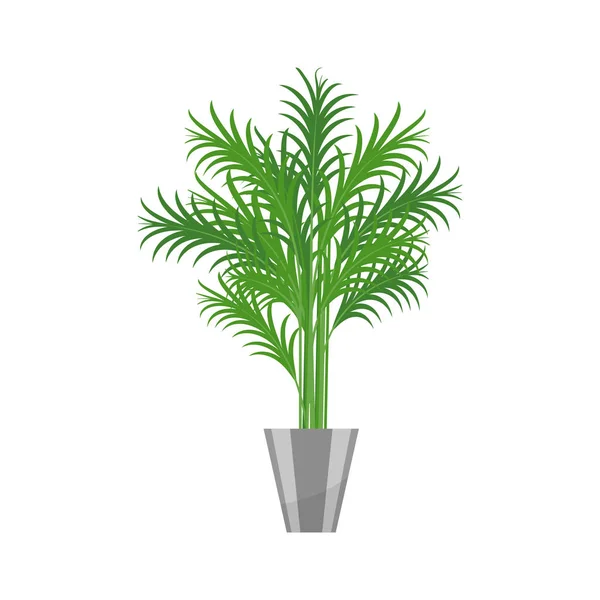 Palmhauspflanze realistisches Symbol für die Innendekoration. Nadelgehölze im Blumentopf. Vektorillustration — Stockvektor