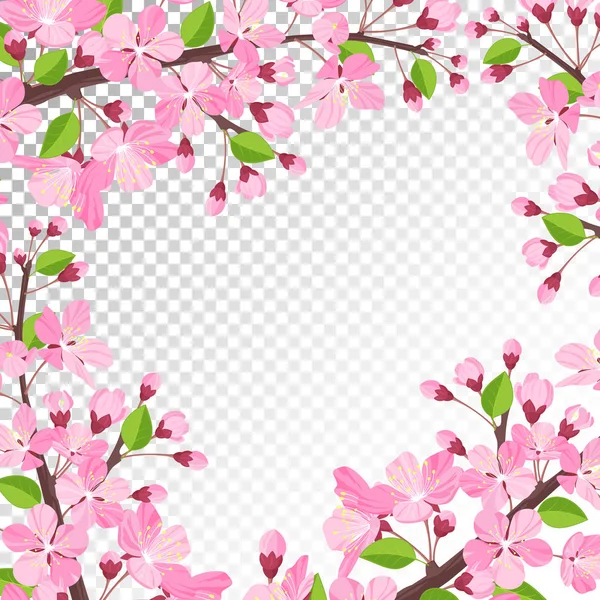 Fondo de flor de cerezo — Archivo Imágenes Vectoriales
