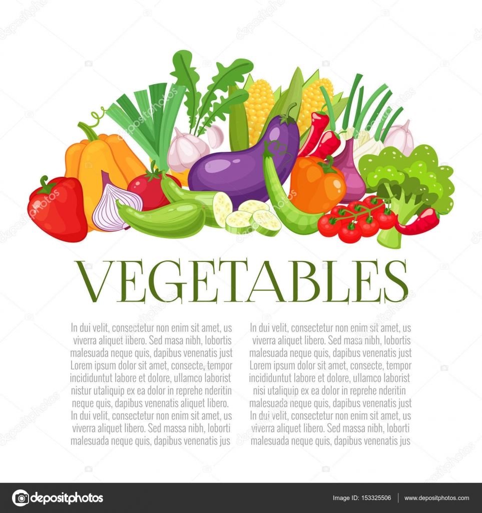 Blocco per grafici di vettore di verdure fresche per il vostro disegno Verdure crude con pepe affettato melanzane aglio funghi zucchine
