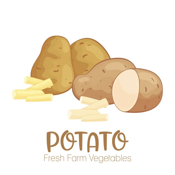 孤立在白色背景上的向量马铃薯。农场市场菜单的蔬菜图。健康食品设计海报。卡通风格矢量图 — 图库矢量图片