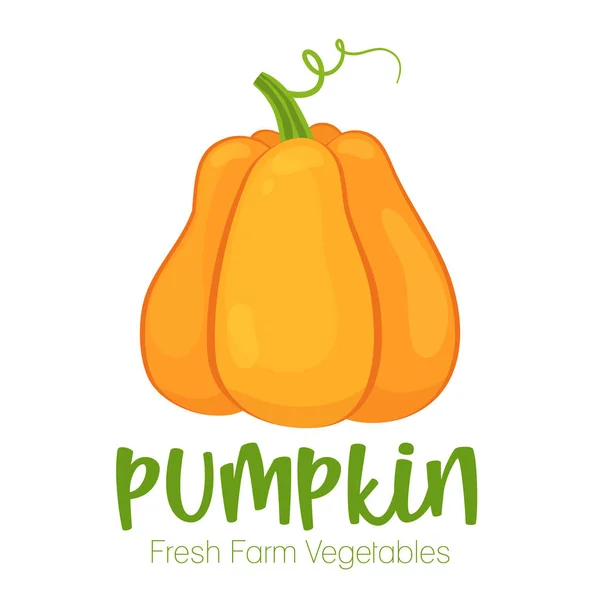 Vector pumpkin isolated on white background.Vegetable illustration for farm market menu. Healthy food design poster. Cartoon style vector illustration — Stock Vector
