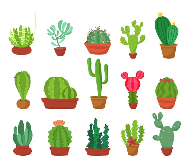 Plochý kaktus. Vektorové ilustrace. — Stockový vektor