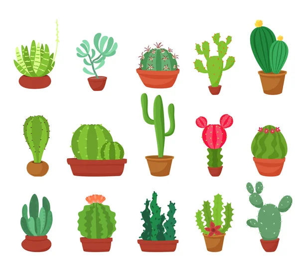 Grupo Bonito Do Kawaii Dos Desenhos Animados De Planta, De Plantas Carnudas  Do Cacto E De Flores Com Projeto Liso Das Caras Engra Ilustração Stock -  Ilustração de cactos, jogo: 102184516