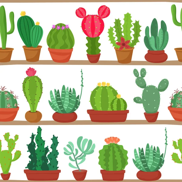 Modello senza cuciture di cactus e piante grasse in pentole su ripiani. Piante da interno sugli scaffali isolati su sfondo bianco. Sfondo naturale di piante da interno in stile piatto. Illustrazione vettoriale . — Vettoriale Stock