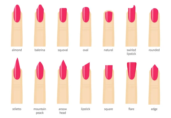 Différentes formes d'ongles de mode. Définir des sortes de clous. Salon ongles de type tendances.Différentes formes d'ongles et des icônes de couleurs vernis à ongles. Forme arrondie et ovale, amande et carré , — Image vectorielle