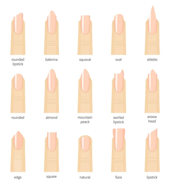 Diferentes formas de uñas. Conjunto de clases de clavos. Tipo de uñas de salón tendencias . — Archivo Imágenes Vectoriales