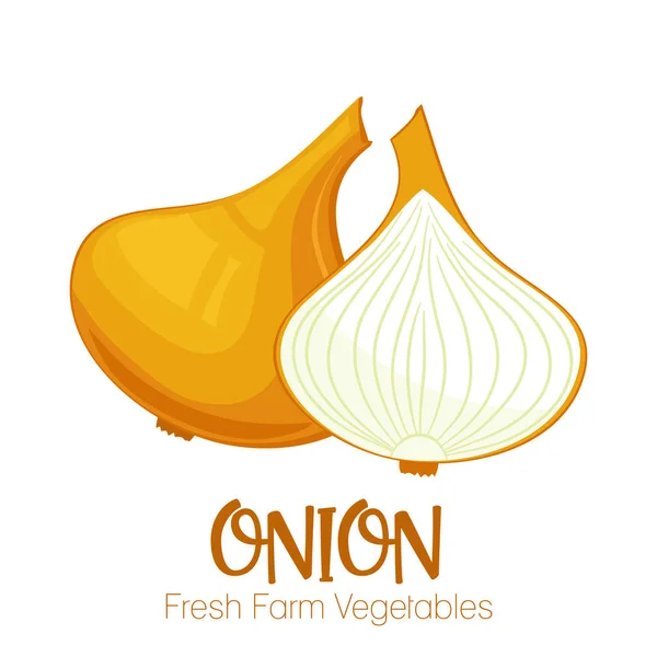 Vector onion isolated on white background.Vegetable illustration for farm market menu. Healthy food design poster. Cartoon style vector illustration — Stock Vector