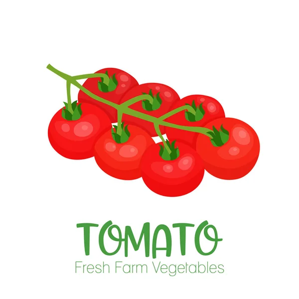 Vector tomato isolated on white background.Vegetable illustration for farm market menu. Healthy food design poster. Cartoon style vector illustration — Stock Vector