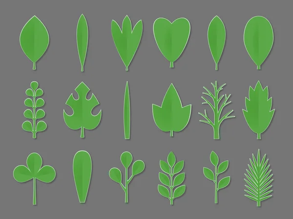 Conjunto de papel verde Flor e folhas de árvore isoladas em fundo cinza. Vector eps 10 formato . —  Vetores de Stock