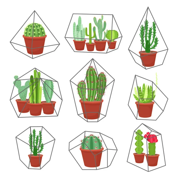 Grupo Bonito Do Kawaii Dos Desenhos Animados De Planta, De Plantas Carnudas  Do Cacto E De Flores Com Projeto Liso Das Caras Engra Ilustração Stock -  Ilustração de cactos, jogo: 102184516