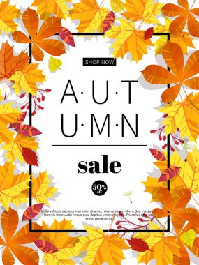 Sonbahar satış afiş web veya baskı için. Sonbahar sezonu afiş satış ve indirimler. Renkli wite arka plan üzerinde başlık ve satış invintation yaprak. Vektör çizim