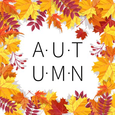 Sonbahar Festivali arka plan. Davet afiş ile sonbahar yaprakları. Vektör çizim