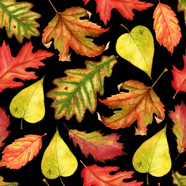 Vzor bezešvé s červenou, žlutou a zelenou žlutá podzimní listí na černém pozadí. Nekonečné kresby nakreslené od ruky. Květinové tapety podzimní závod les. Akvarel, ilustrace — Stock fotografie