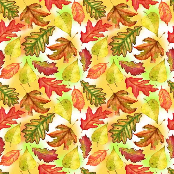 Patrón sin costuras con hojas de otoño rojas, amarillas y verde-amarillas sobre un fondo colorido. Obra de arte interminable dibujada a mano. Fondo de pantalla floral bosque de plantas de otoño. Ilustración en acuarela —  Fotos de Stock