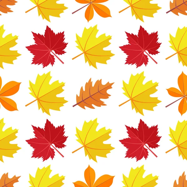 Vector seamless pattern with various colorful autumn leaves on a white background. — Stock Vector