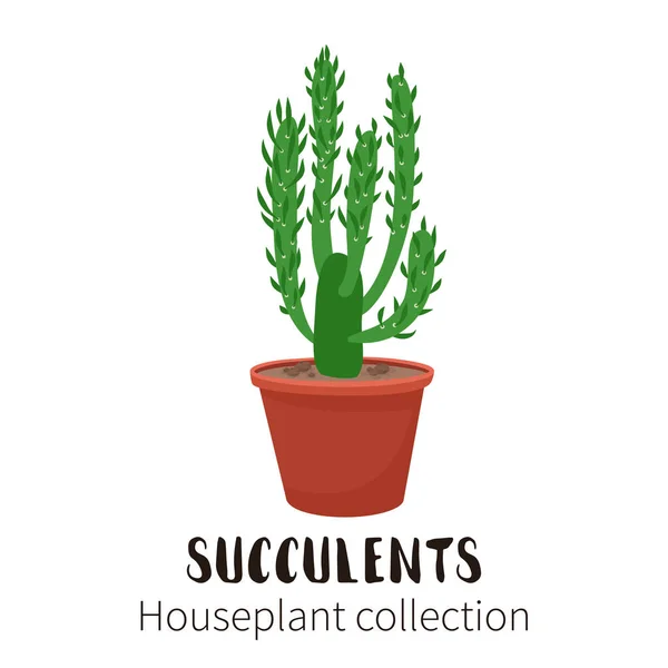 Iconos de cactus en estilo plano sobre fondo blanco. Inicio plantas cactus en macetas y con flores. Una variedad de cactus decorativos con espinas y sin . — Vector de stock