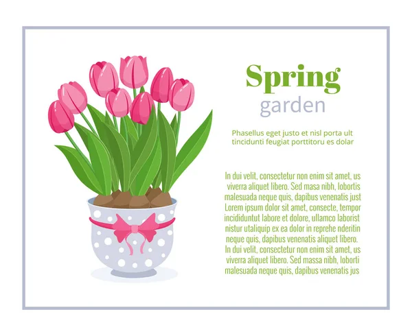 Tavaszi kert. Virág brosúra design háttér, vektor sablonok, bannerek és névjegykártyák. Tavaszi növény tulipán kék pot és a keret vektoros illusztráció. — Stock Vector