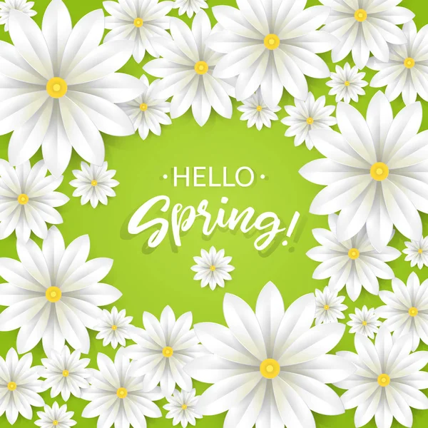 Hello Spring.Hand betűkkel, fehér virágok kerettel. Papír Kamilla zöld háttér. Vektoros illusztráció. — Stock Vector