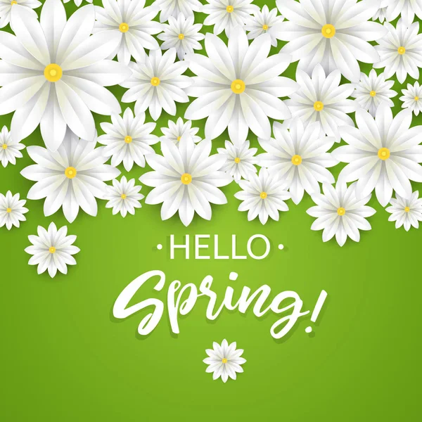 Hello Spring.Hand betűkkel, fehér virágok szegéllyel. Papír Kamilla zöld háttér. Vektoros illusztráció. — Stock Vector