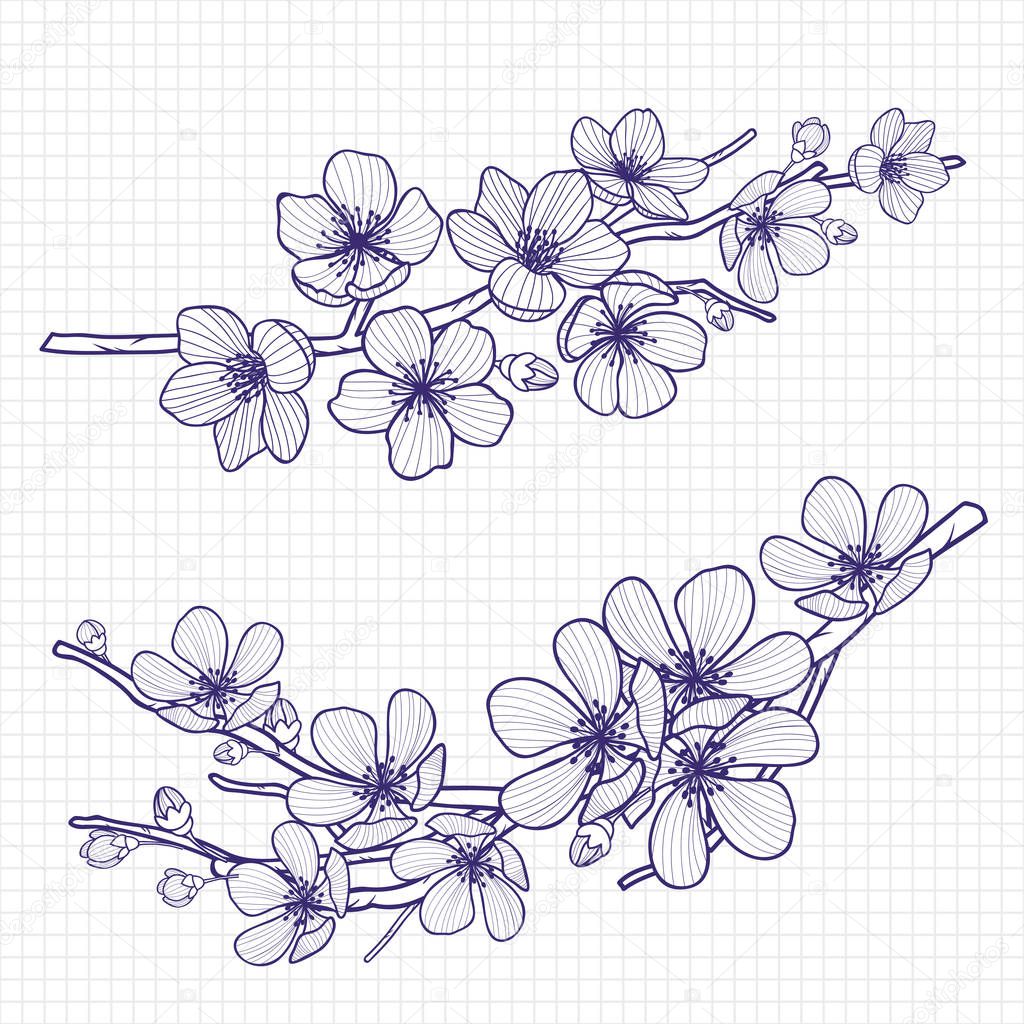 Sketch style flowering cherry or apple tree branch on notebook page . Hand drawn spring elements. Vector illustration.