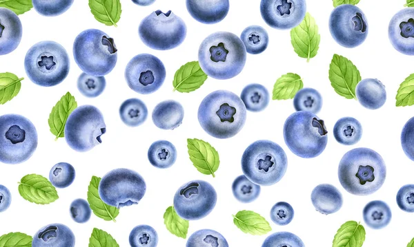 Blueberry and mint leaves pattern on white background.Berryes and spice medical,kitchen herbs digital clip art.Watercolor food and healthcare illustration. — Stock Photo, Image