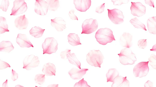 Rosa rosa, cereza, ciruela, pétalos de sakura sobre fondo blanco sin costuras. Día de San Valentín, boda, día de la madre, decoración de hanami japonés. . —  Fotos de Stock