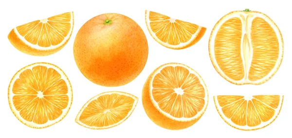 Frutas de laranja inteiras, metade, fatia, cortadas isoladamente em fundo branco.Vista superior, vista lateral citrinos exóticos. Halthy alimento clipe digital art.Watercolor ilustração . — Fotografia de Stock