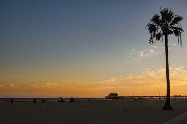 Pasifik Okyanusu 'nun üzerinde gün batımında kızıl bir gökyüzü ve Kaliforniya' da Newport sahilinde yalnız bir palmiye ağacı. Cankurtaranların işi bitti.